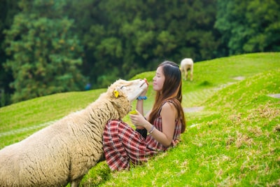 抱着羊头的女人